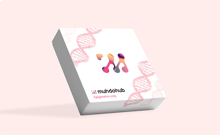 Epigenetic Kit